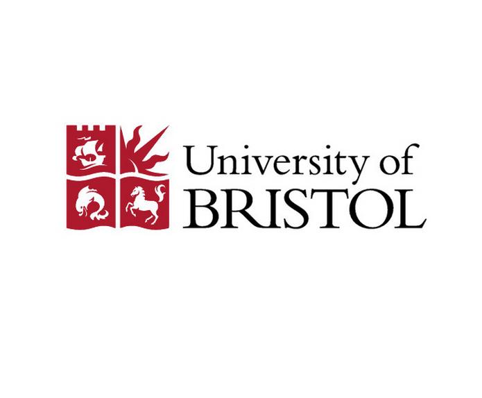 布里斯托大学 Logo