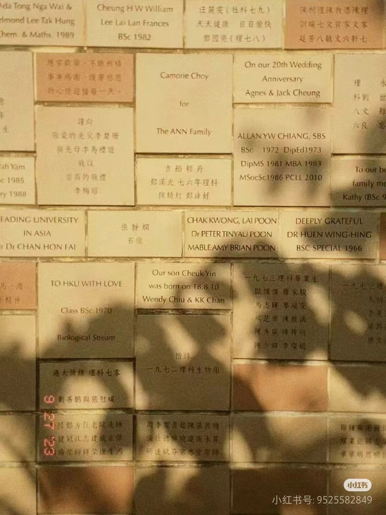 微信图片_20240924111922 微信图片_20240924111922